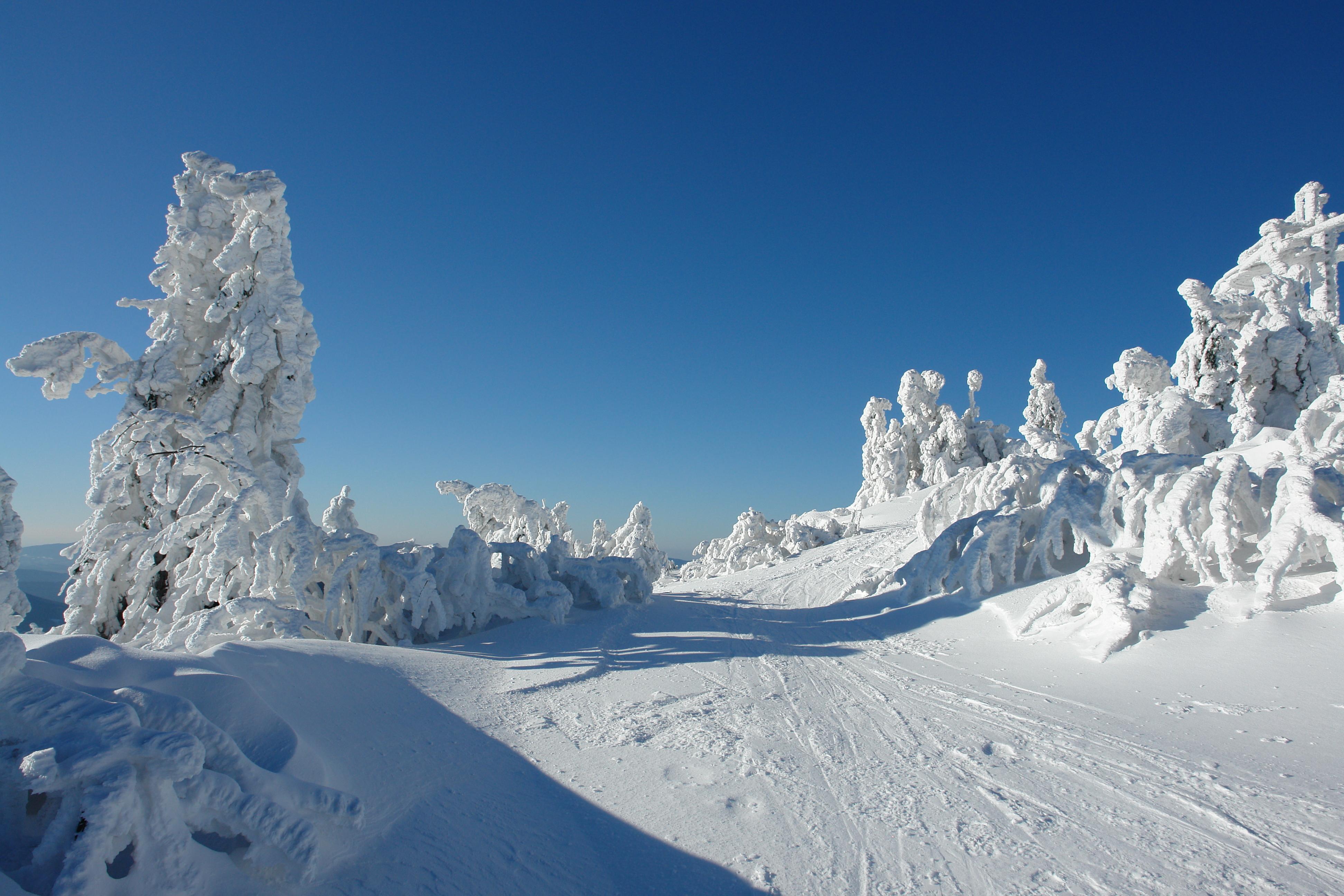 Mallnitz Molltaler Gletsjer