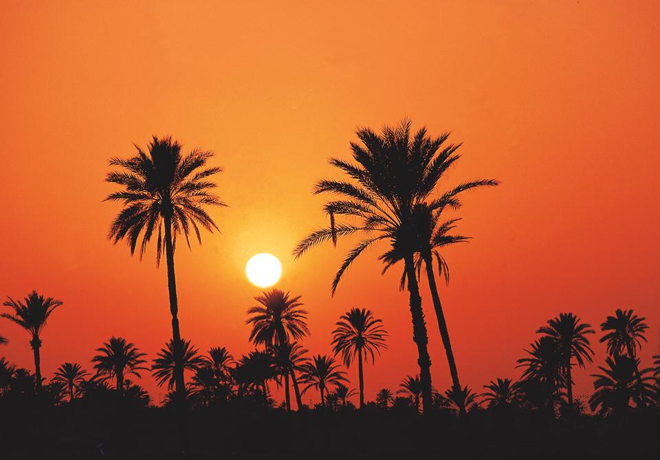 Hammamet Foto: 3 van 3