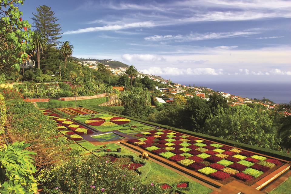 Funchal Photo : 2 sur 5