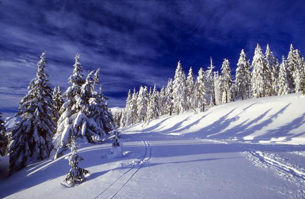 Photo de Chamonix
