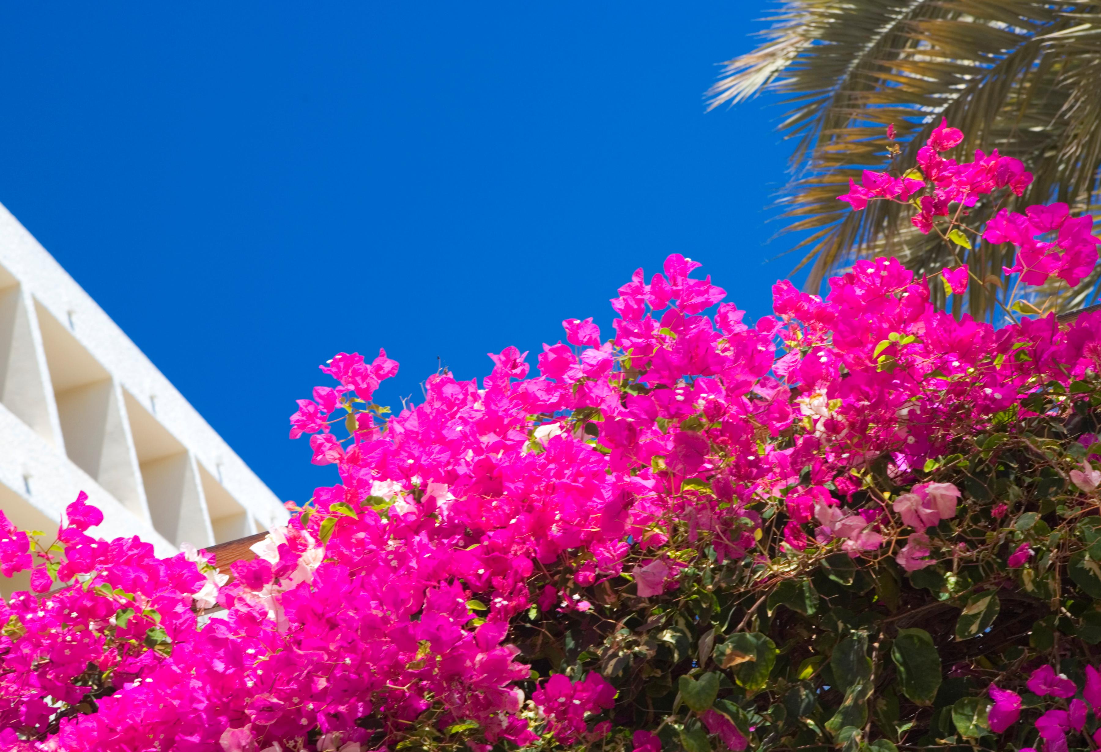 Puerto del Carmen Foto: 7 van 7