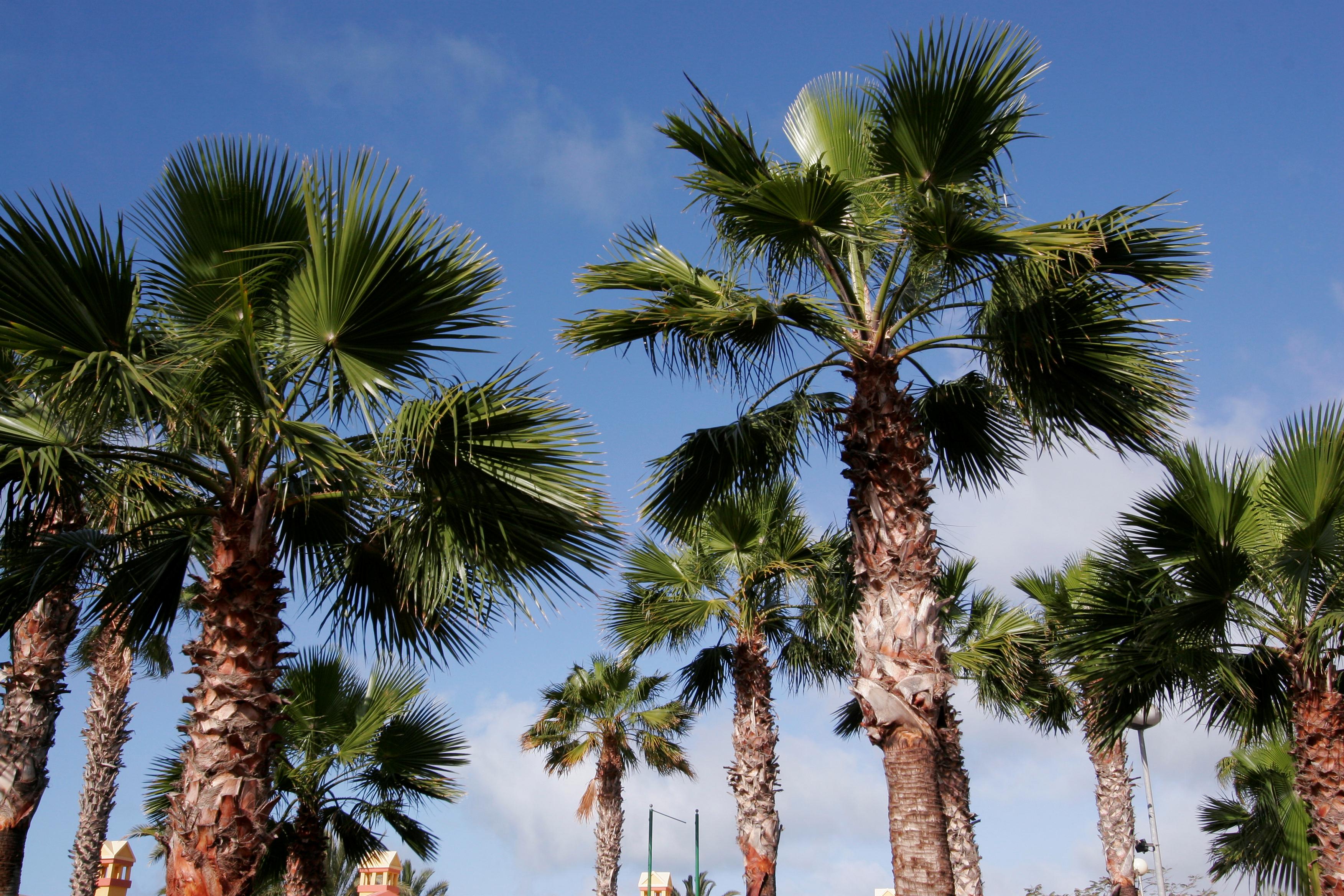 Bahia Feliz Photo : 3 sur 3