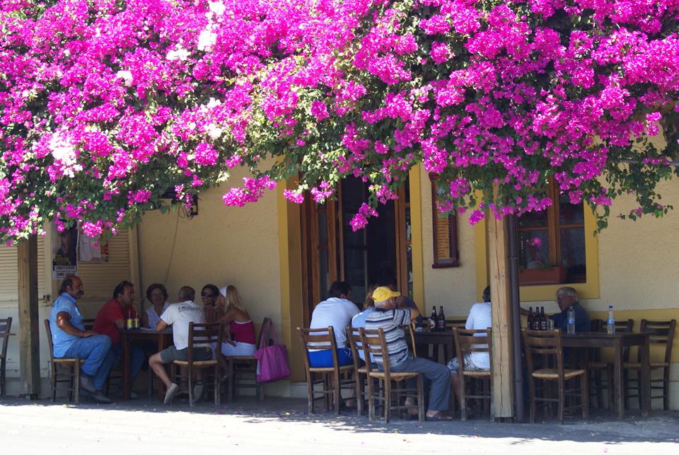 Analipsis Foto: 2 van 13