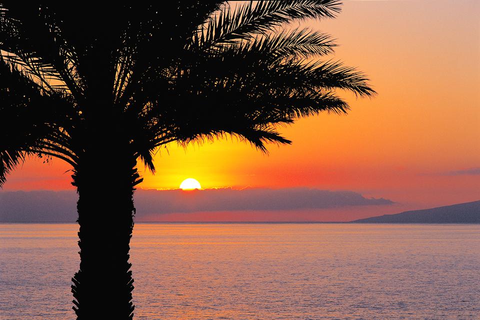 Costa Adeje Foto: 2 van 2