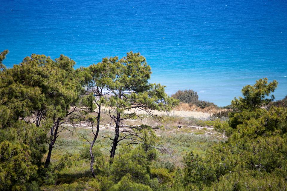 Kiotari  Photo : 4 sur 4