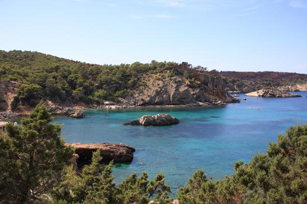 Foto van Playa de Talamanca