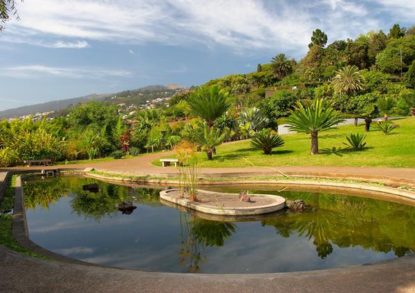 Photo de Funchal