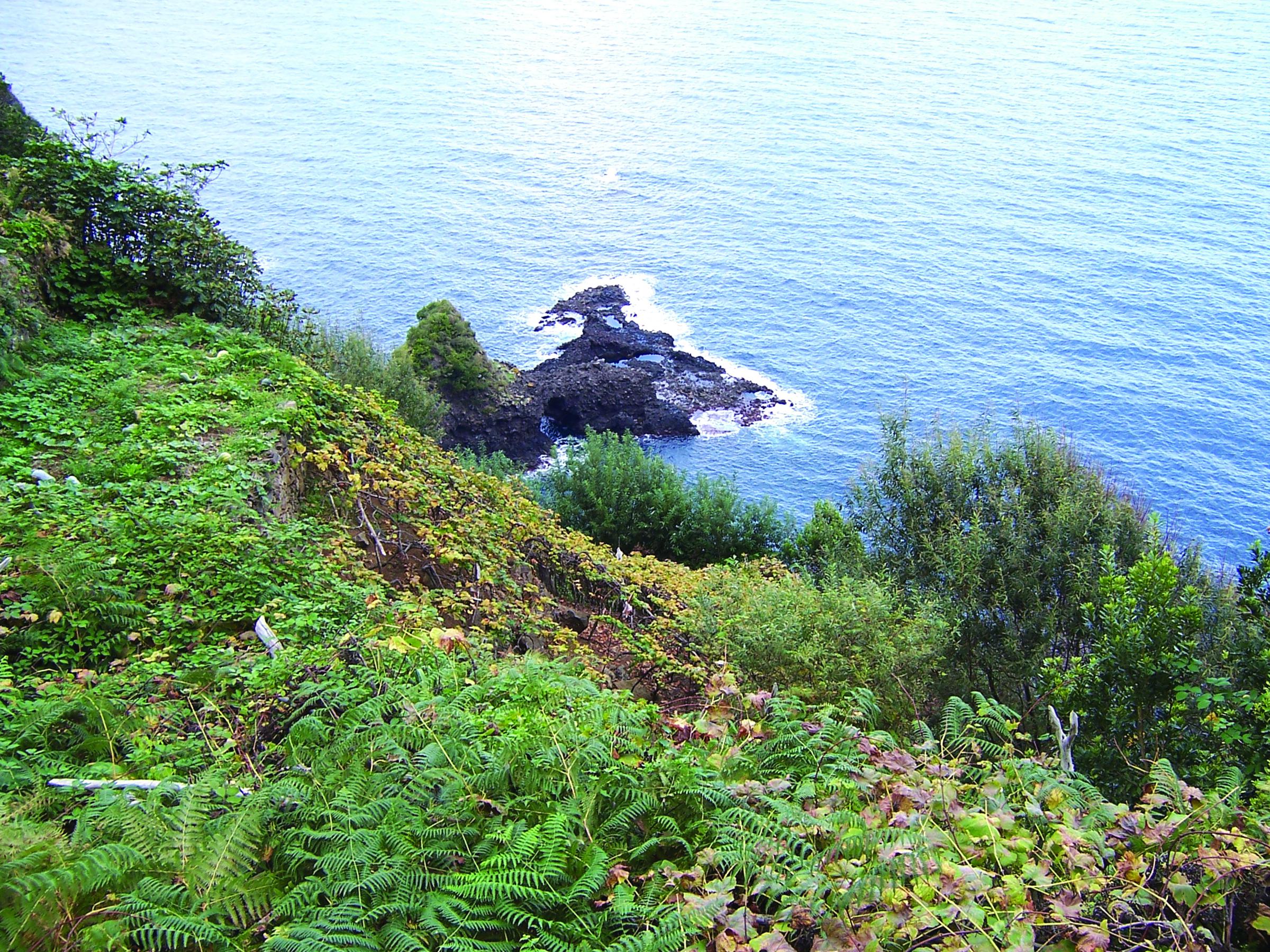 Funchal Foto: 3 van 5