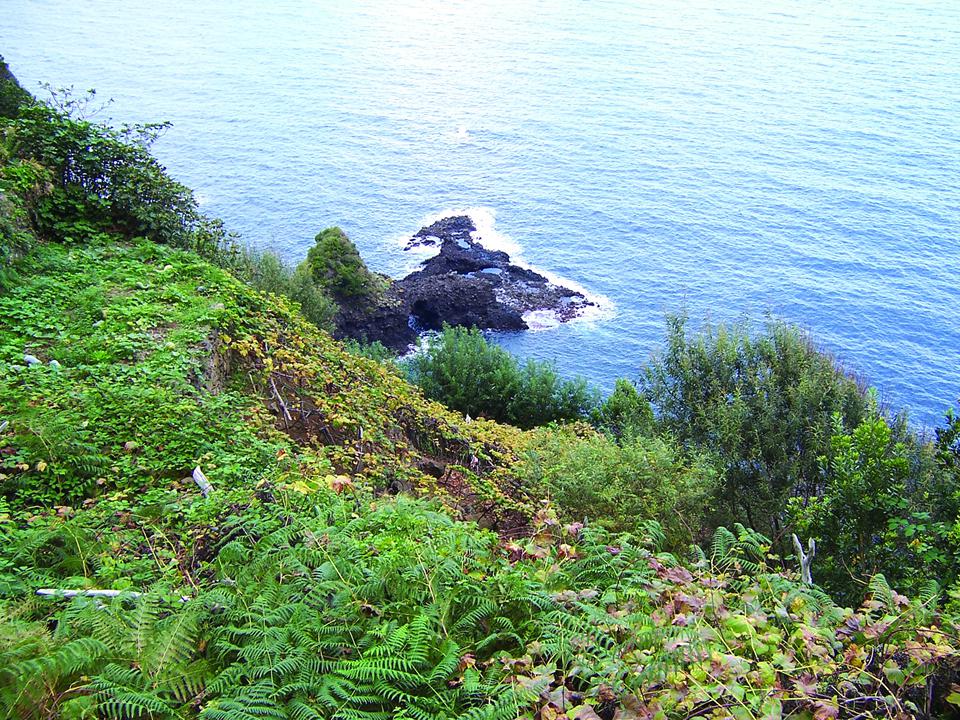 Funchal Foto: 3 van 5