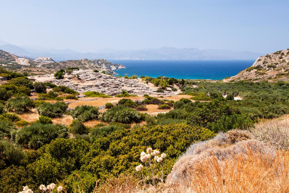 Gournes Foto: 1 van 2