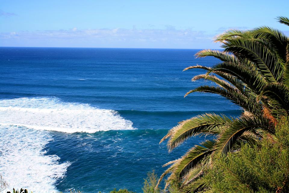 Golf del Sur Photo : 1 sur 2