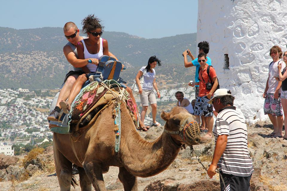 Bodrum-Gümbet Foto: 6 van 8