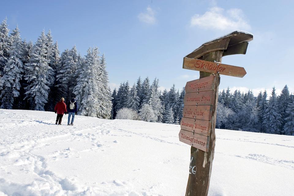 Willingen Foto: 2 van 4