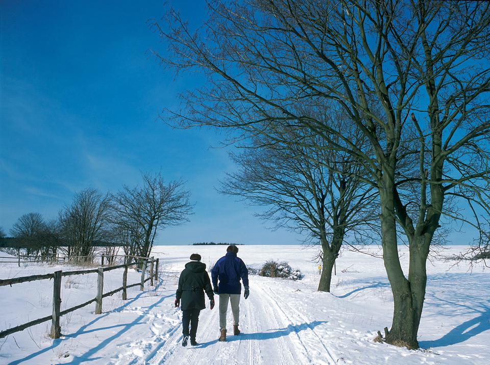 Willingen Foto: 1 van 4