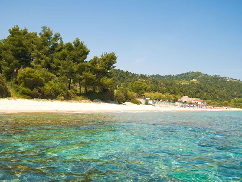 Metamorfosi - Sithonia