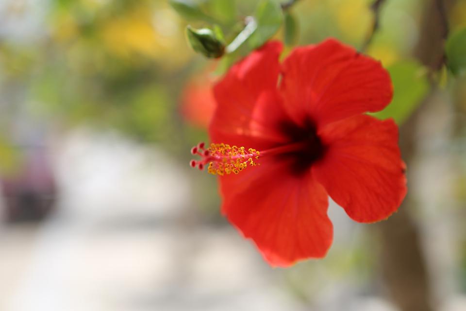 Agia Kyriaki - Zola Foto: 4 van 6