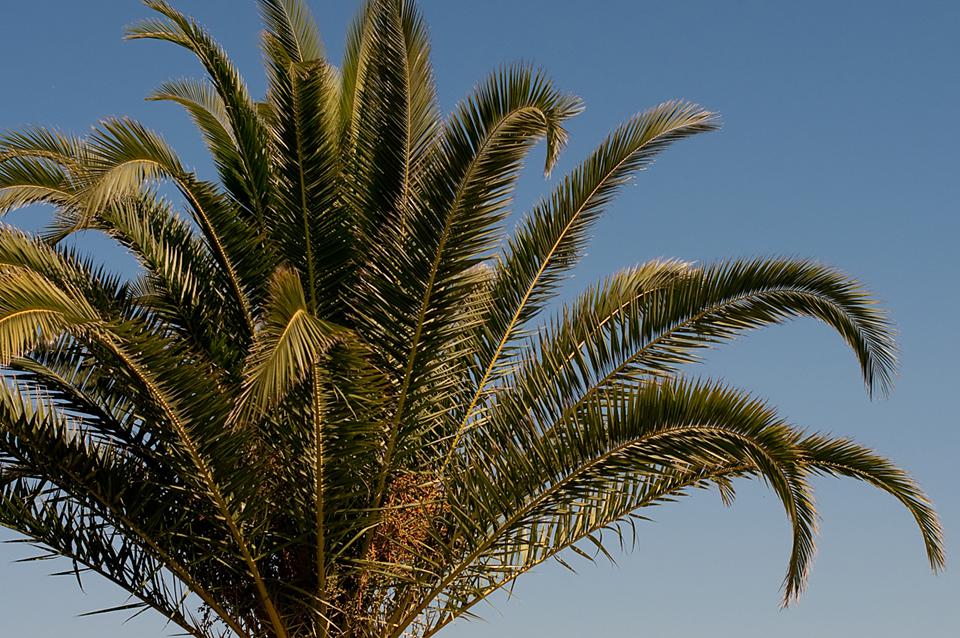 Aminossos Photo : 2 sur 2