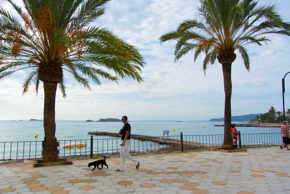 Figueretas Foto: 7 van 7