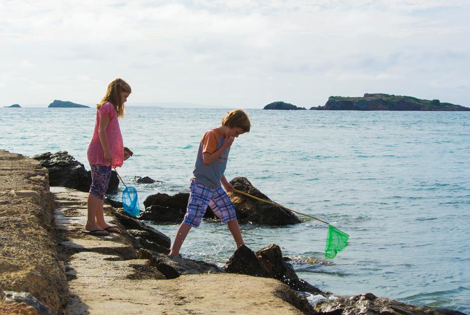 Figueretas Foto: 5 van 7