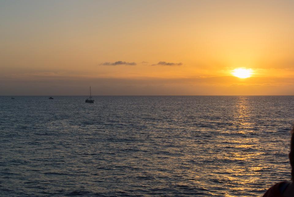 Figueretas Foto: 2 van 7