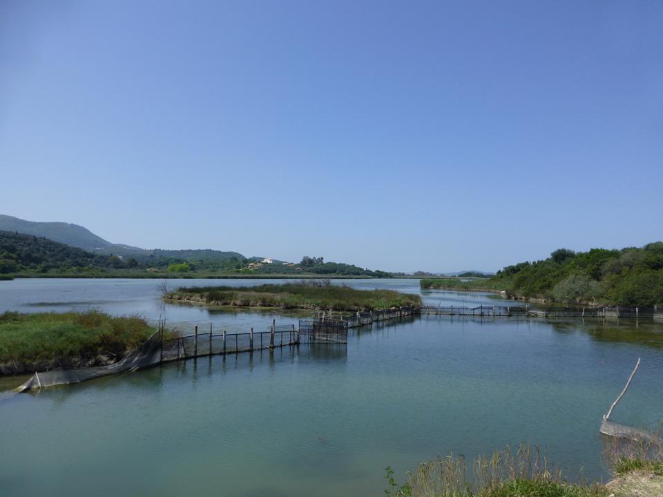 Agios Spyridon Photo : 4 sur 6
