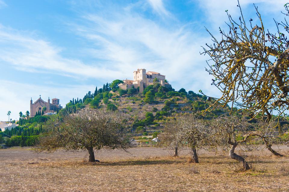 Alcudia Foto: 3 van 10
