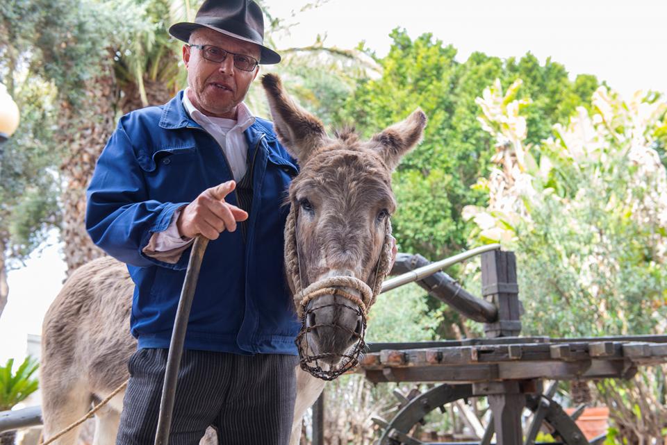 Fuerteventura Photo : 11 sur 25