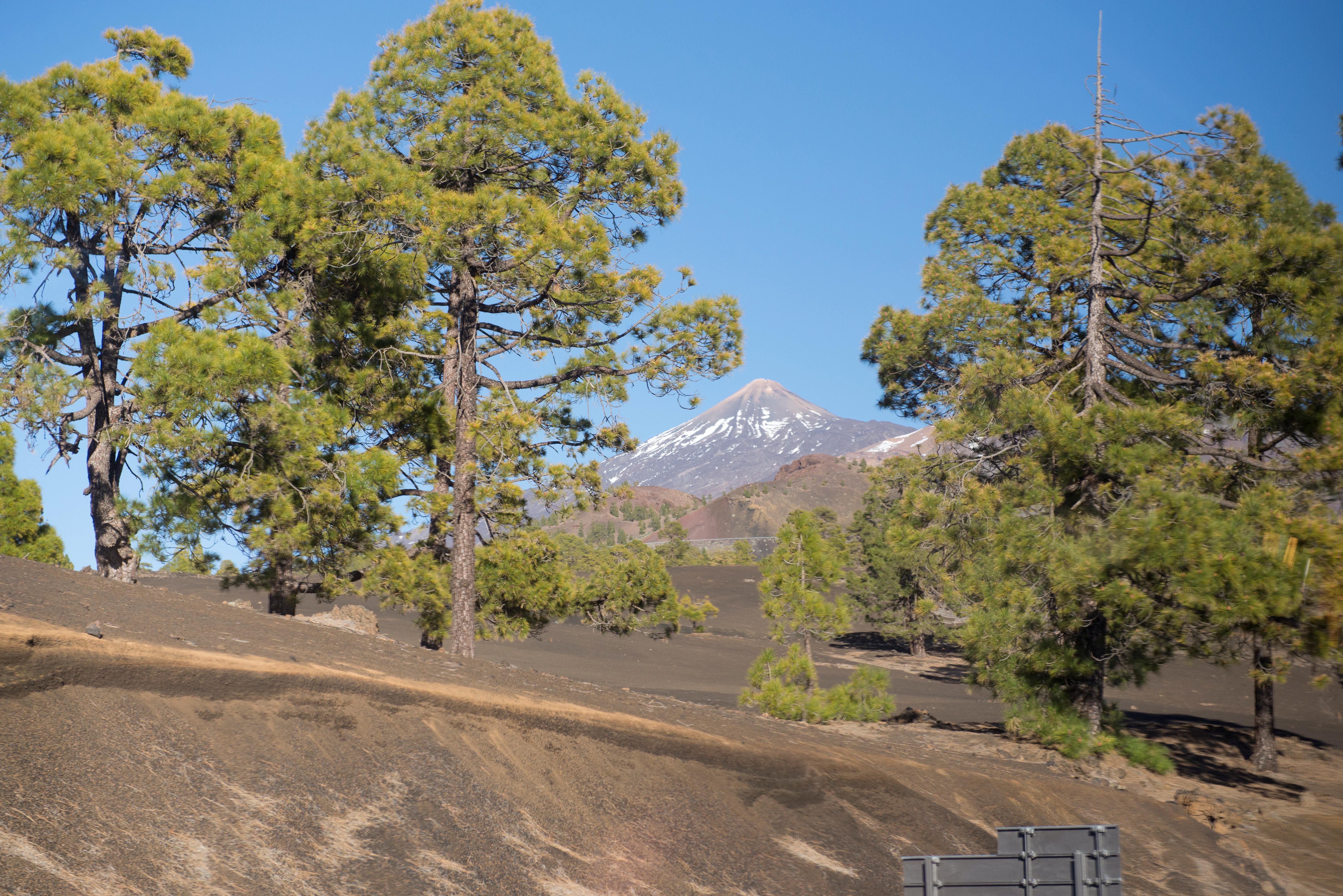 Tenerife Photo : 31 sur 35