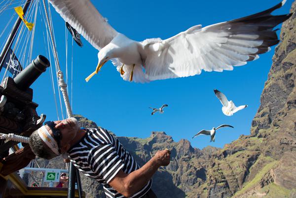 Foto van Guia de Isora