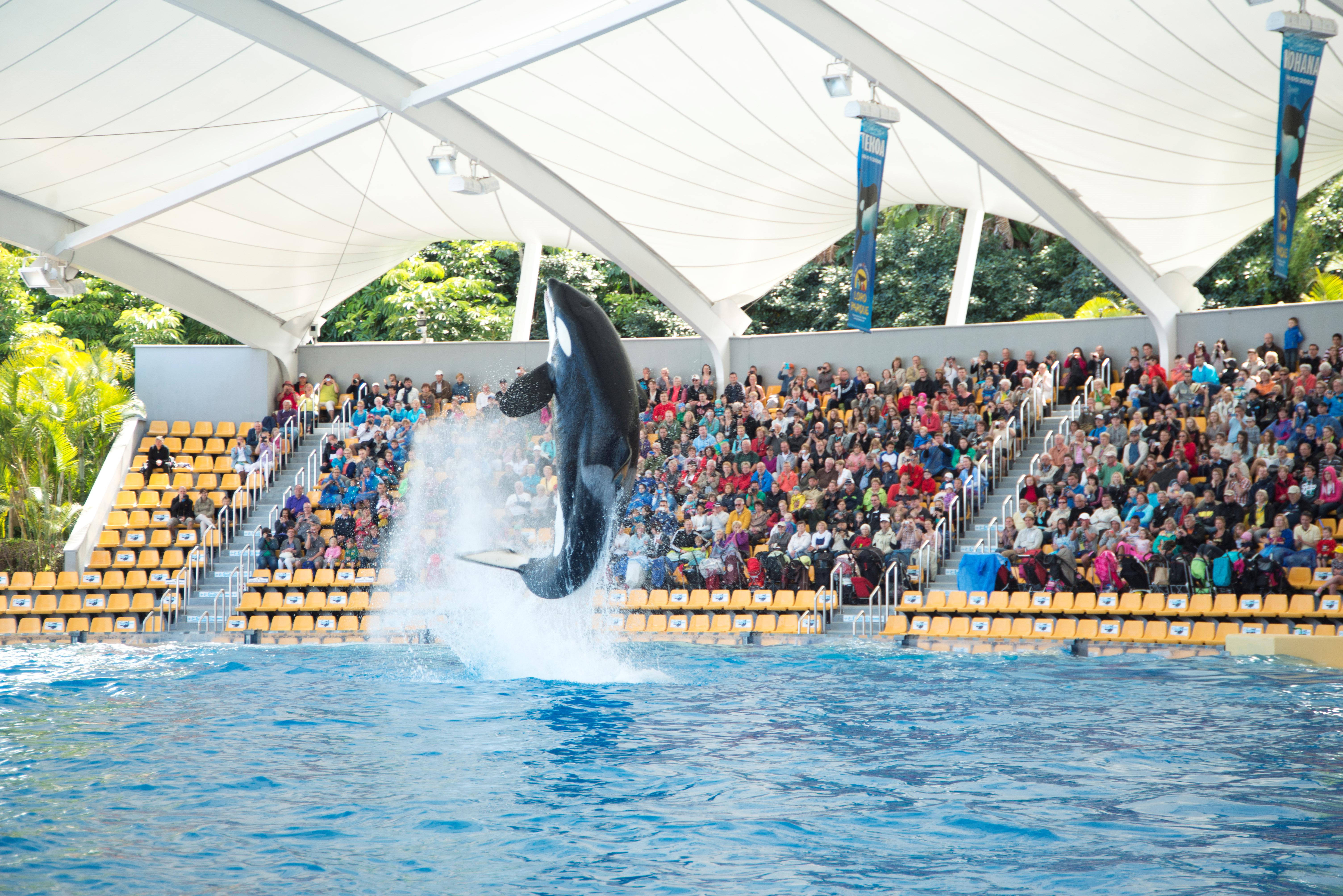 Tenerife Photo : 20 sur 35