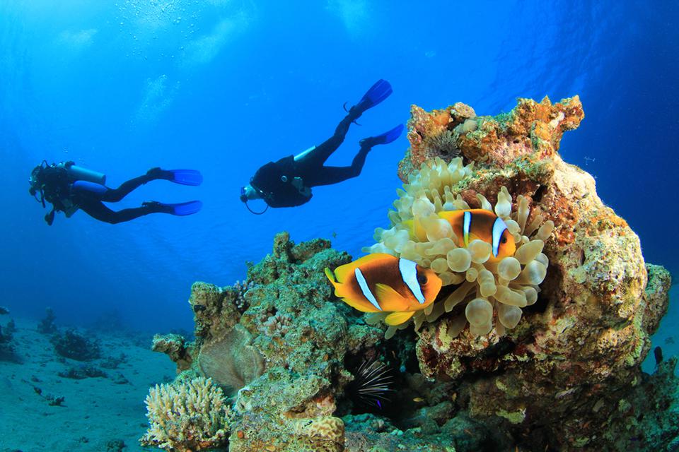 Marsa Alam. Foto: 3 van 7