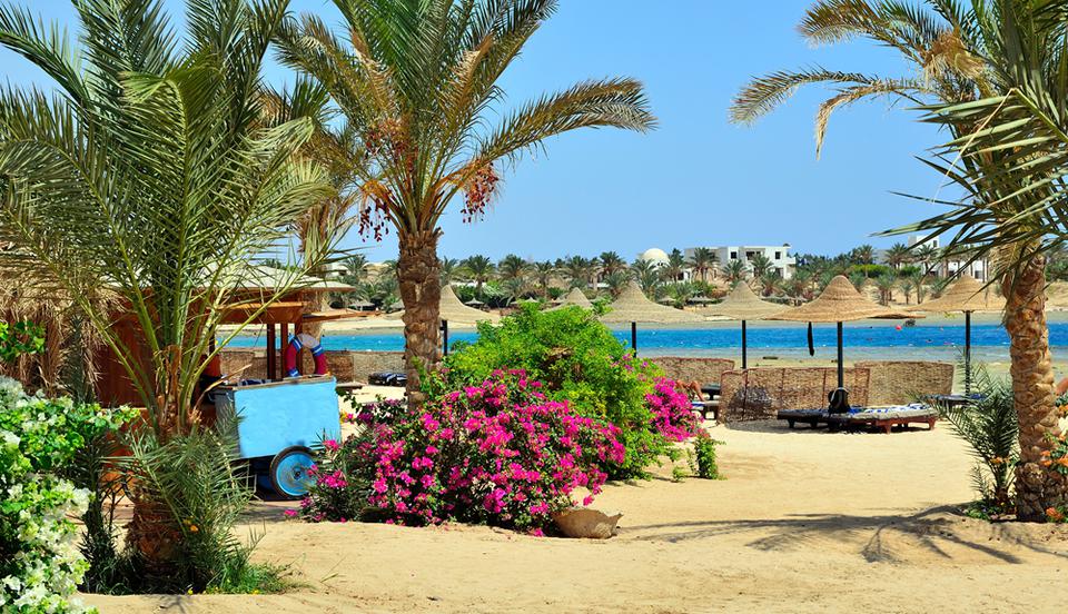 Marsa Alam. Foto: 1 van 7