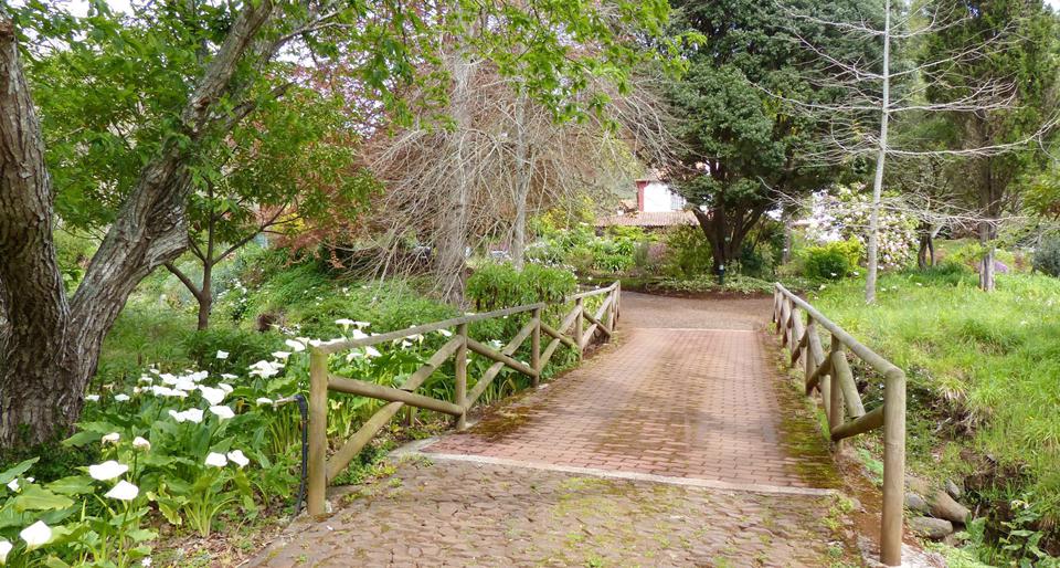 Vale Paraiso Camacha  Photo : 2 sur 3