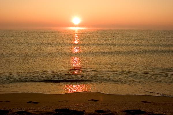 Photo de Sunny Beach
