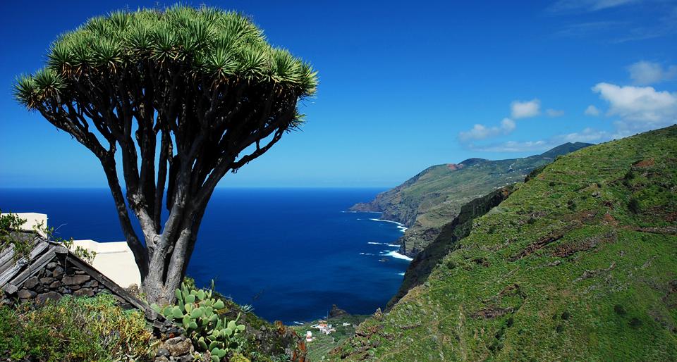 Barlovento Foto: 2 van 5