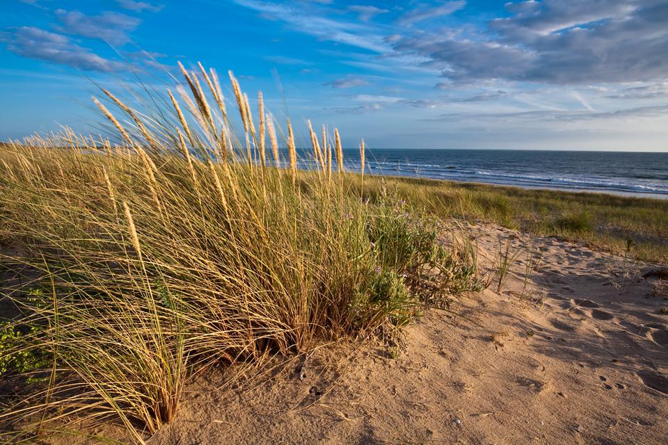 Longeville-sur-Mer Foto: 1 van 1