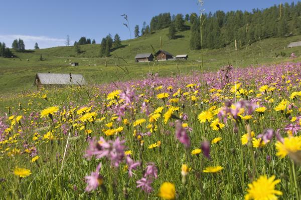 Foto van Ramsau