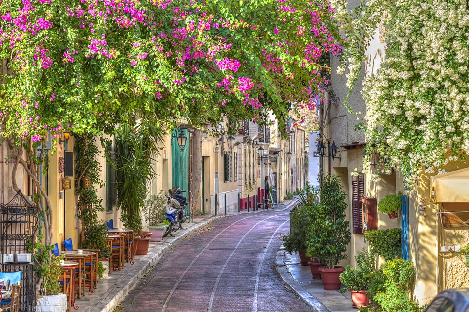 Athene Photo : 5 sur 6