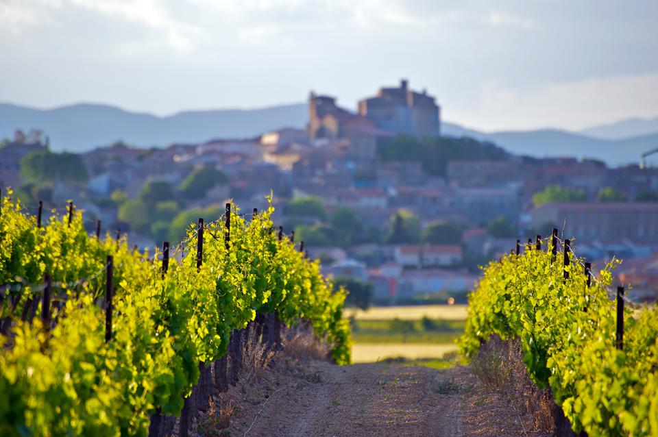 Languedoc-Roussillon Photo : 2 sur 2