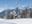 La Foret Blanche
