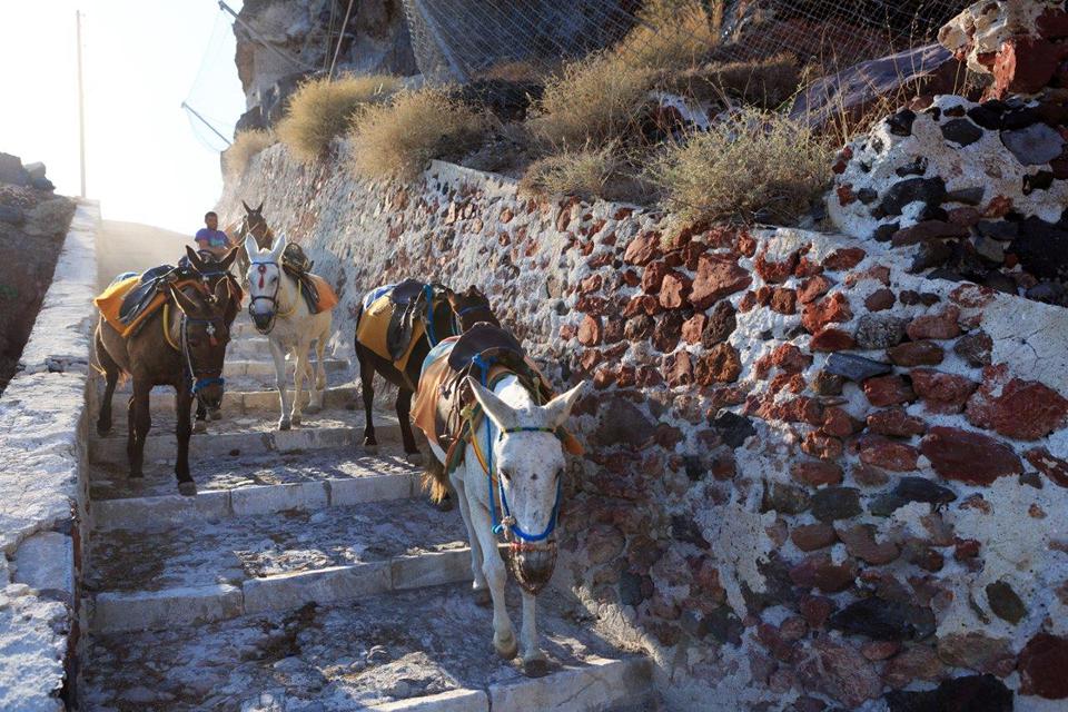 Santorini Foto: 8 van 22
