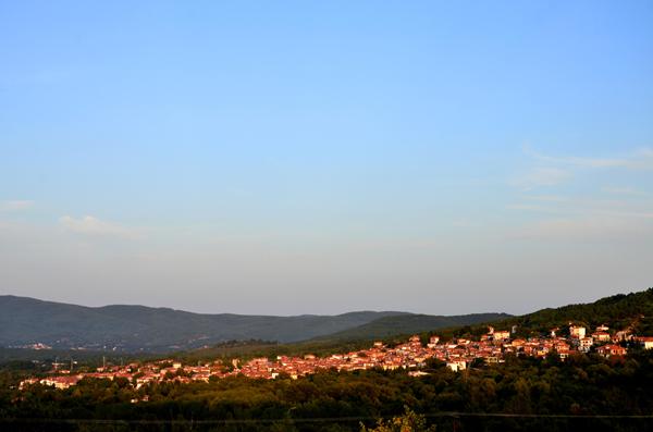 Foto van Arnea