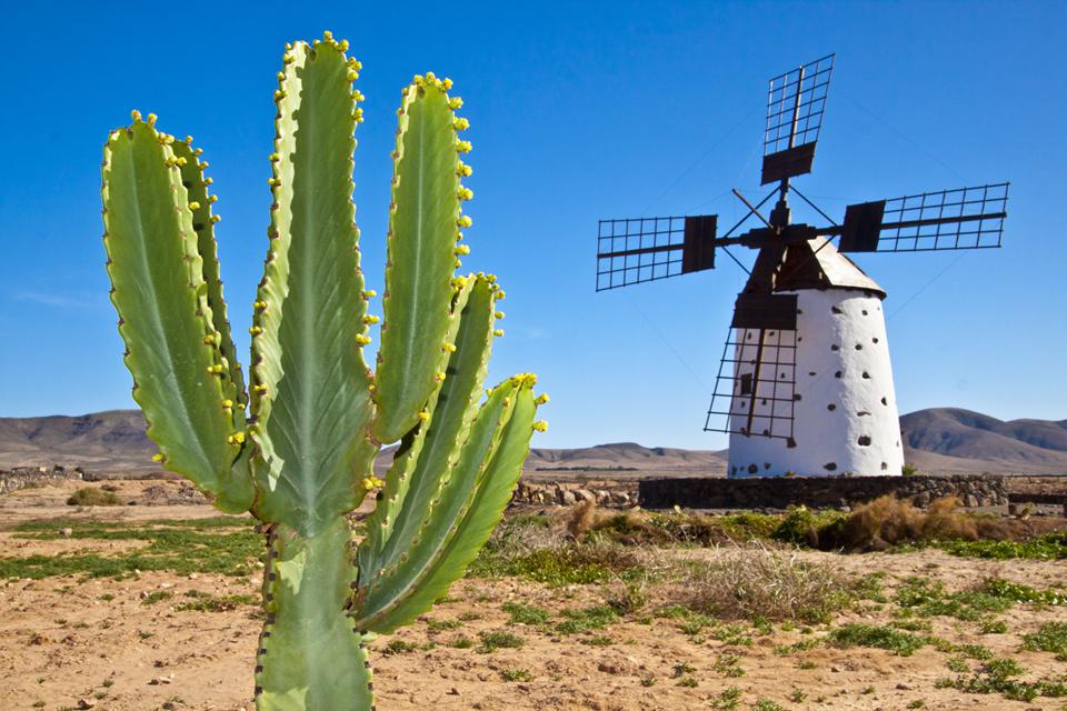 Fuerteventura Foto: 9 van 9
