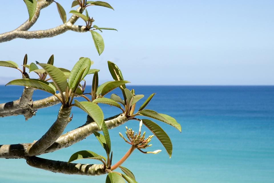 Gran Tarajal  Foto: 2 van 3