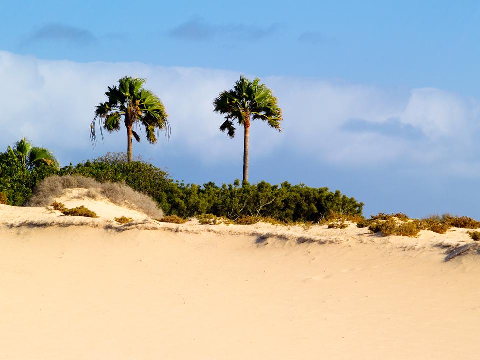 Corralejo Foto: 4 van 9