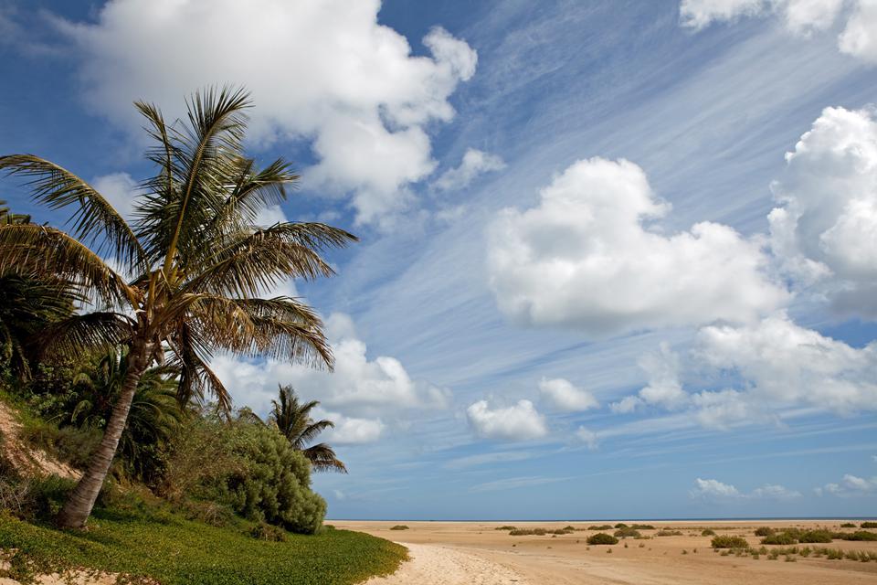 Jandía Playa Photo : 11 sur 11