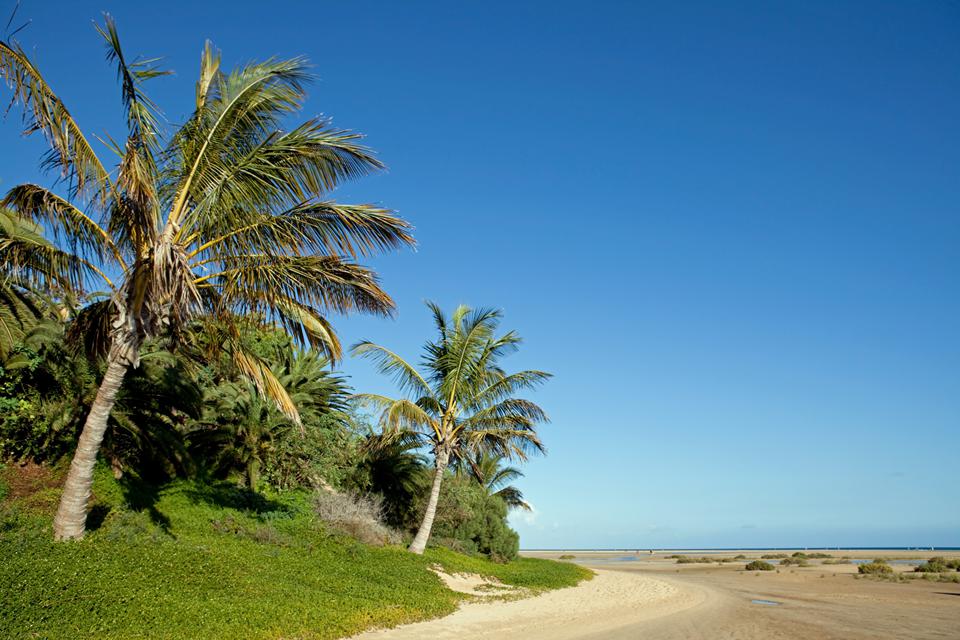 Jandía Playa Foto: 6 van 7