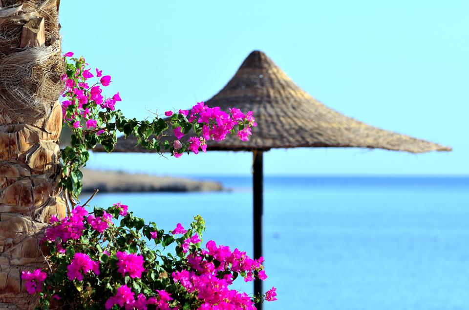 Marsa Alam Photo : 3 sur 4