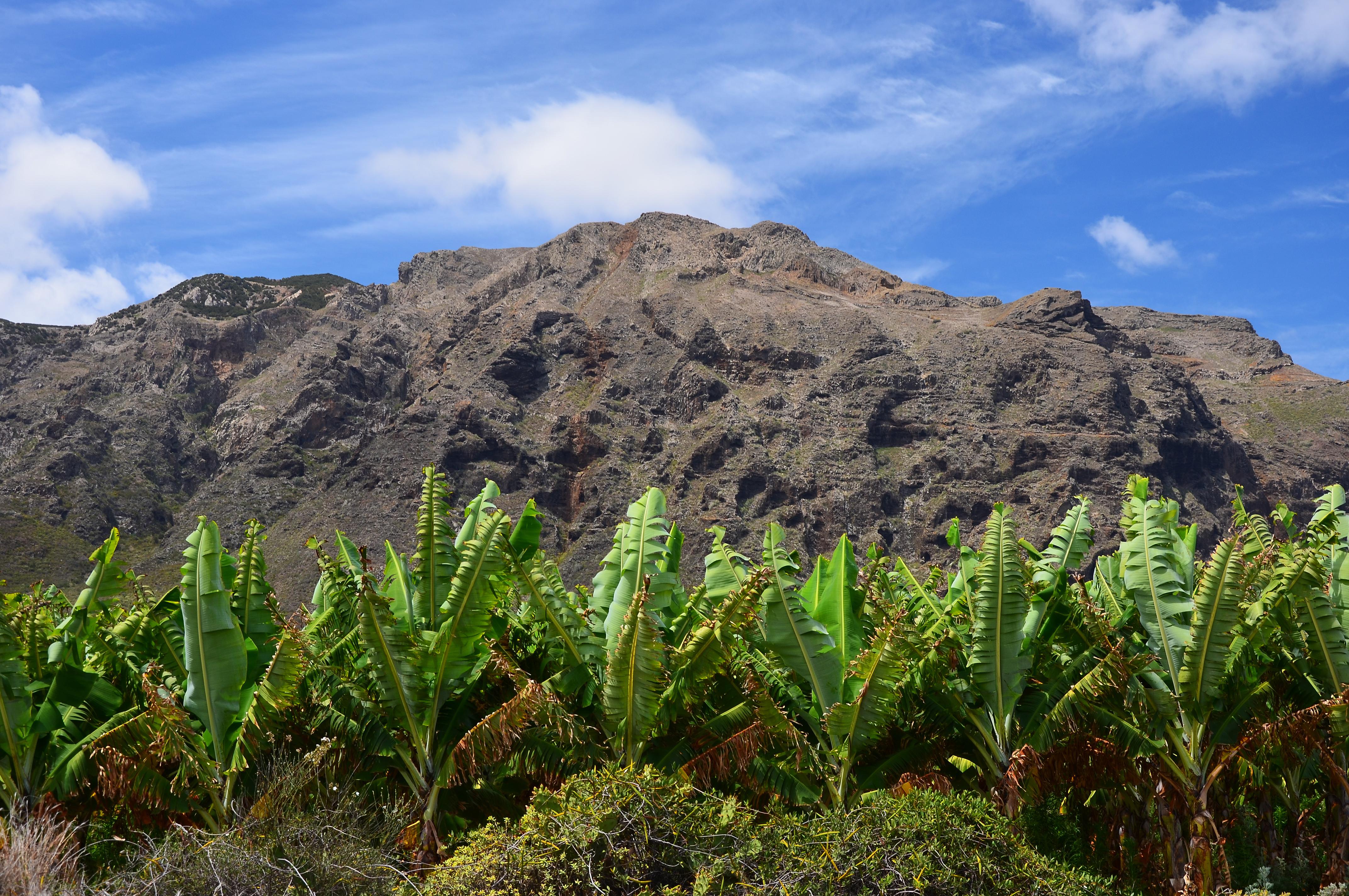 Buenavista del Norte Photo : 3 sur 6