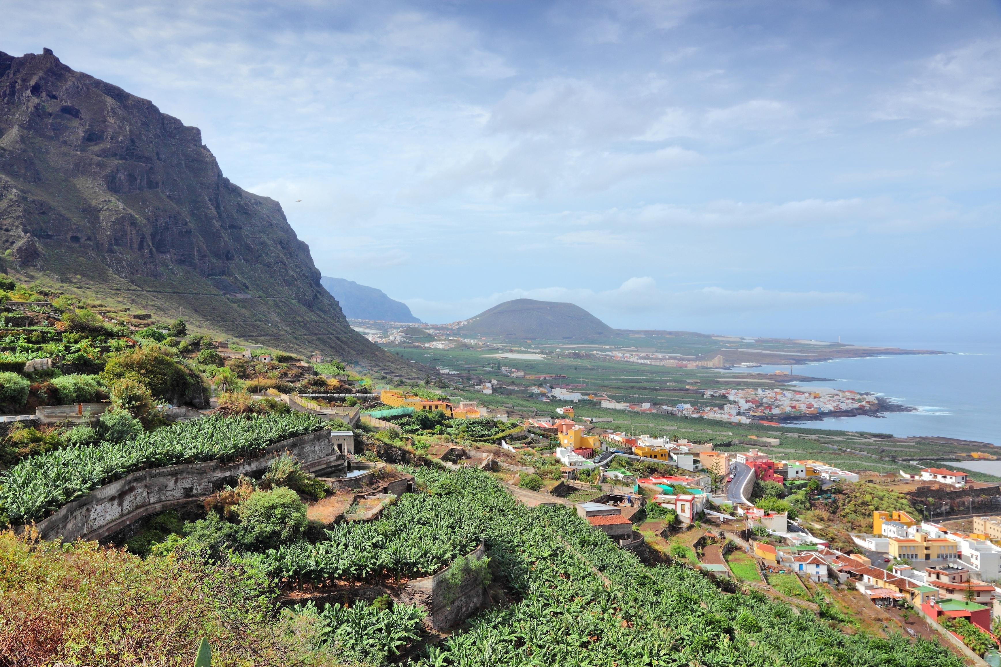 Buenavista del Norte